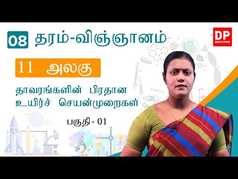 பாடம் 11  -  தாவரங்களின் பிரதான உயிர்ச் செயன்முறைகள்  ( பகுதி 01) | தரம் 08 தமிழில் விஞ்ஞானம்
