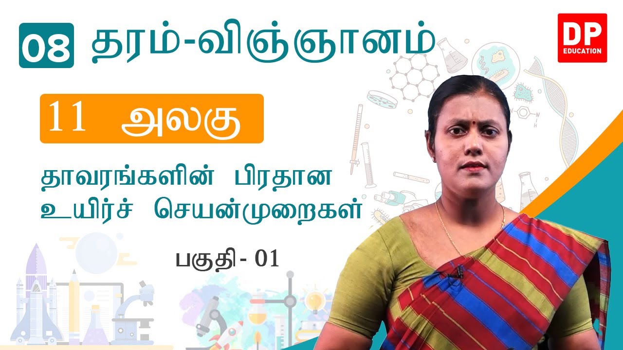 தாவரங்களின் முக்கிய உயிர்ச் செயன்முறைகள் - தரம் 08 தமிழில் (பகுதி 01) 🌱