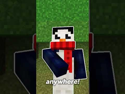 5 Minecraft Commands EVERY Builder Should Know!