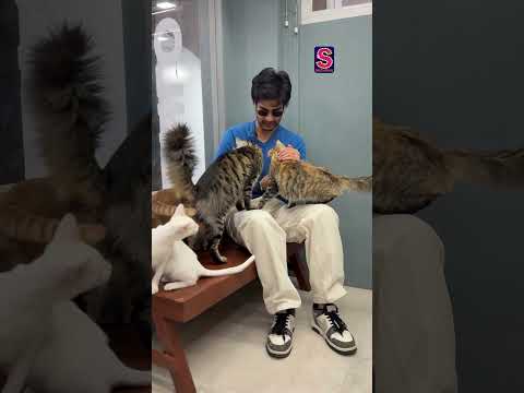 Aaman Devgan hops on the trend! Shares a pawfect video with his adorable fur friends!