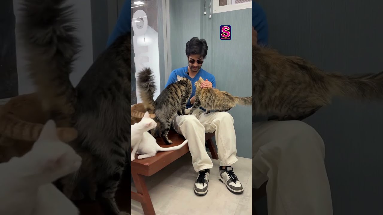Aaman Devgan Shares Adorable Video with Pets 🐾