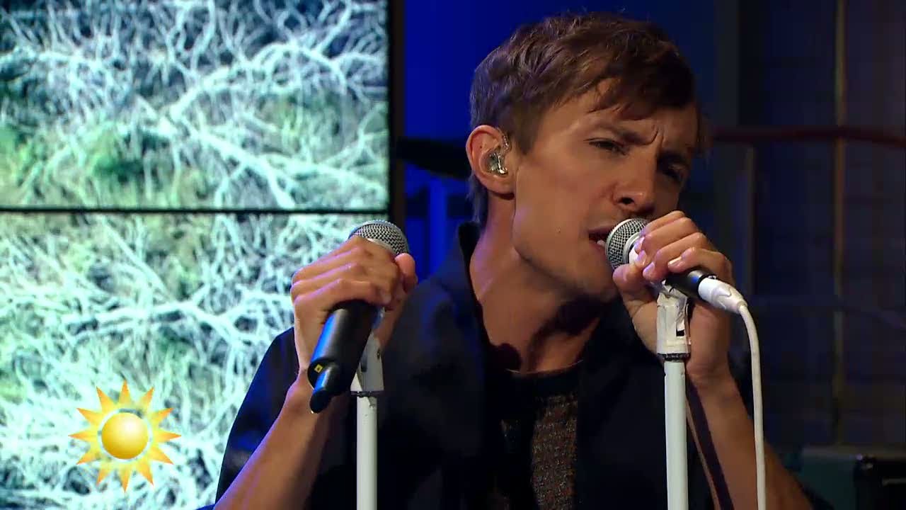 Daniel Adams-Ray Performs 'Isabel' Live on Nyhetsmorgon