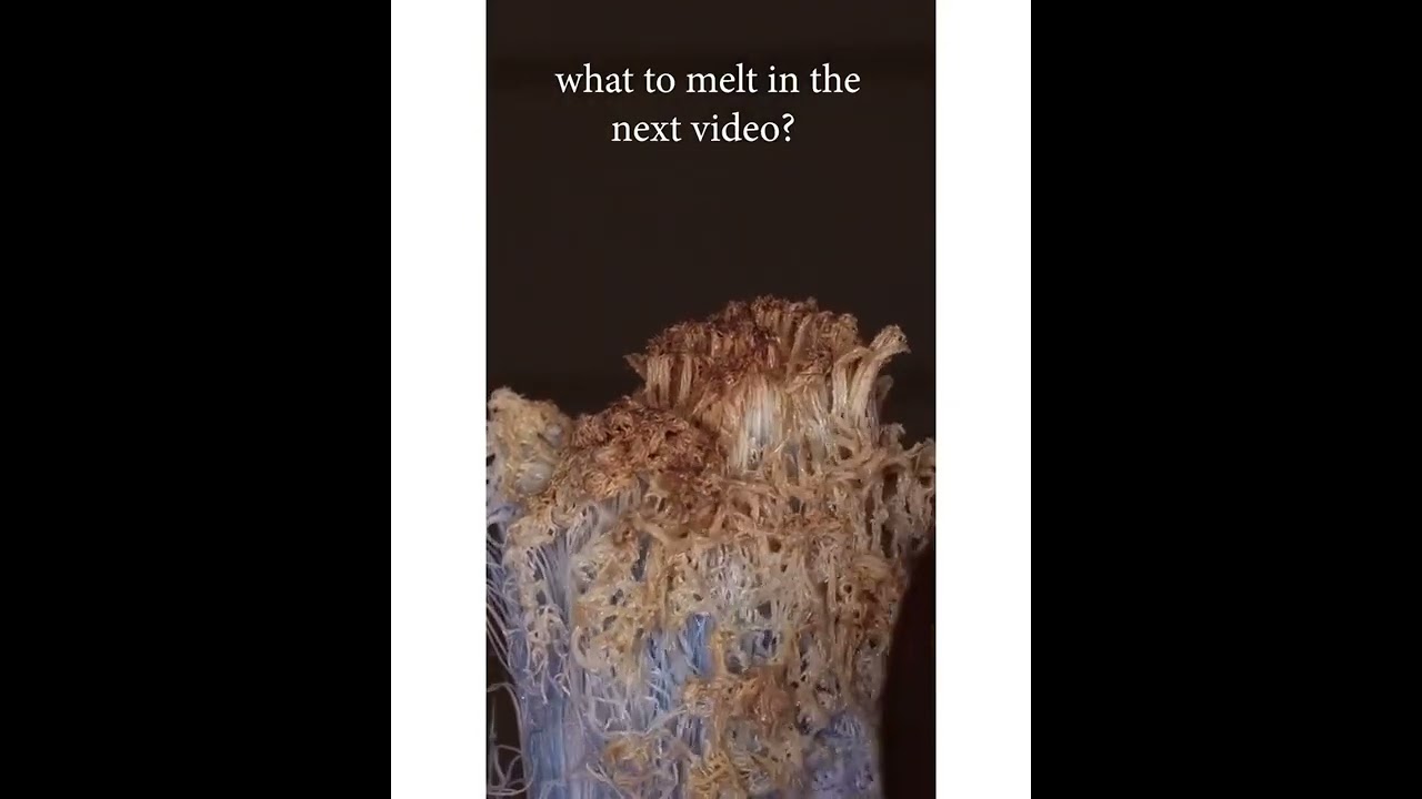 Object Videos Collection