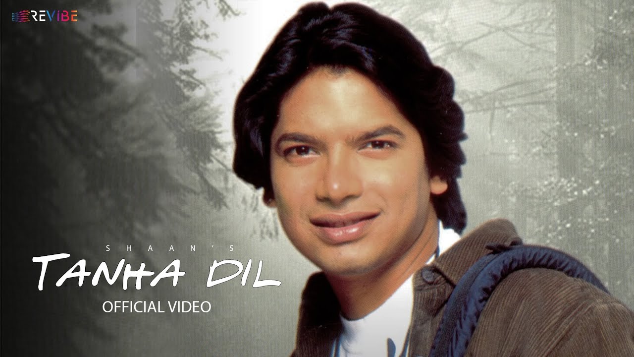 Shaan - Tanha Dil Tanha Safar 🎶 | Hindi Music Video