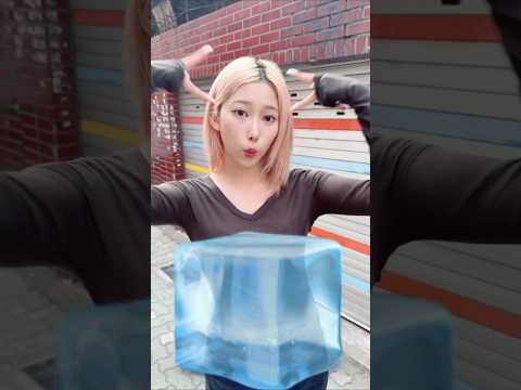 누가 이 고양이 좀 말려주세요😹 #지니어스 #Geenius #안다미로 #Andamiro