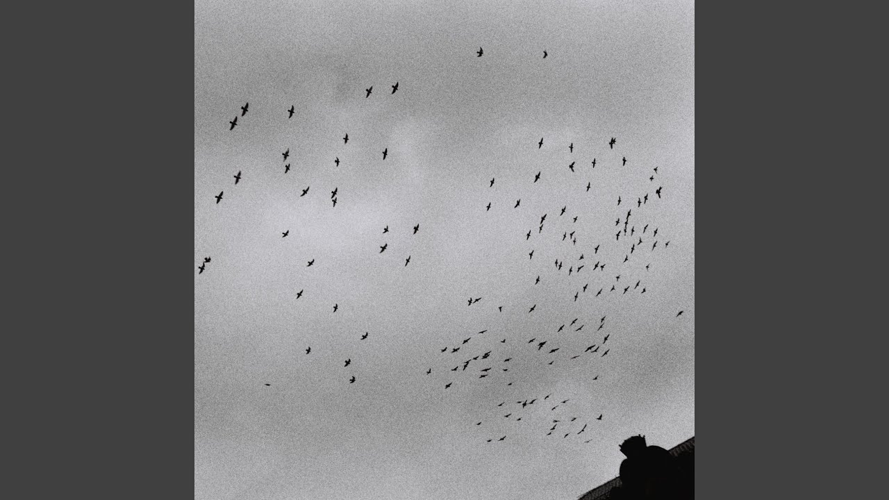 Sunday Vibes by Wünsche 🎶