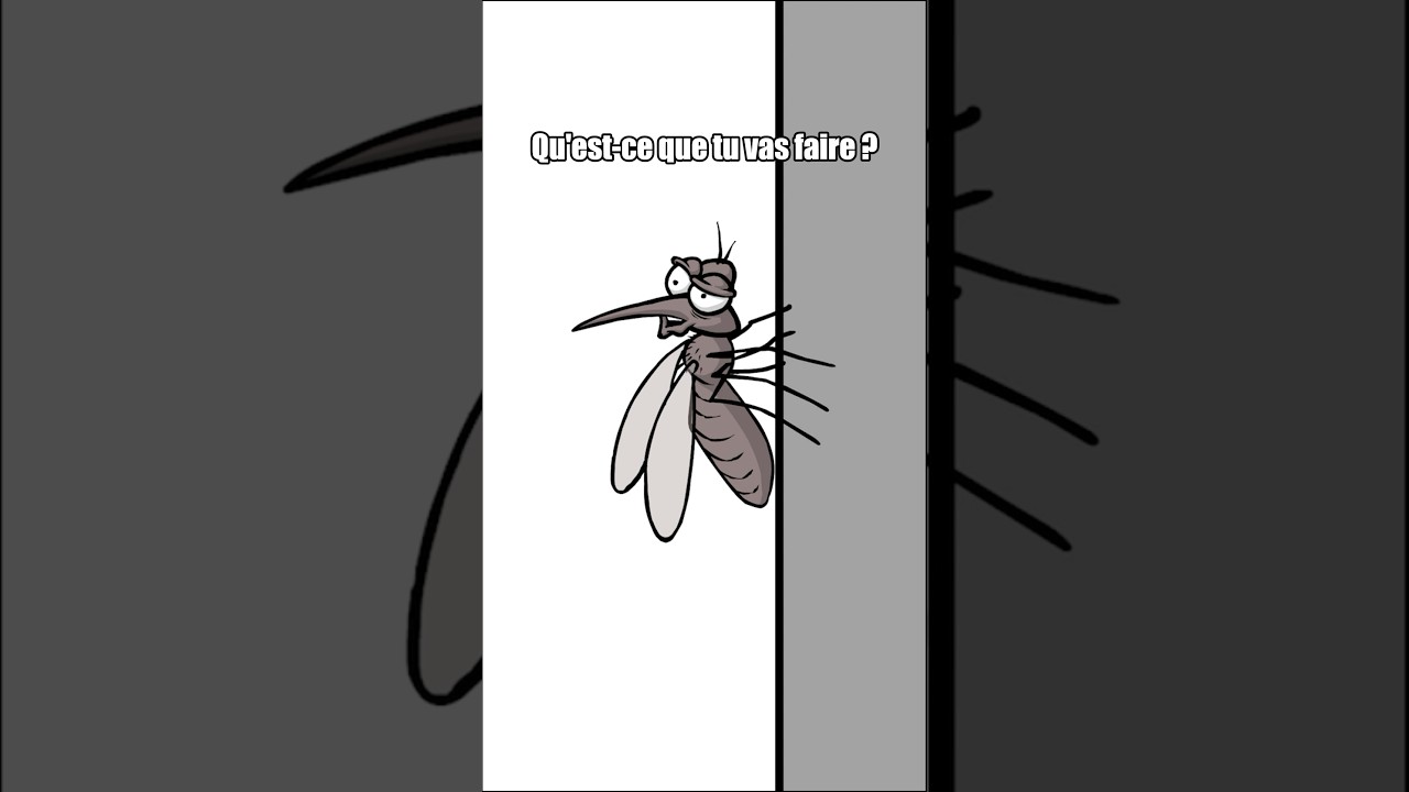 ⁠@LaChaineDeJeremy - Le gang des moustiques 🦟 #shorts #animation #humour #drole #sketch