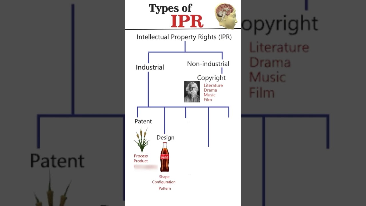 Types of Intellectual Property Rights (IPR) 📚