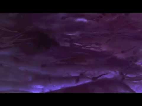 Look Who's Talking Opening Credits π¬