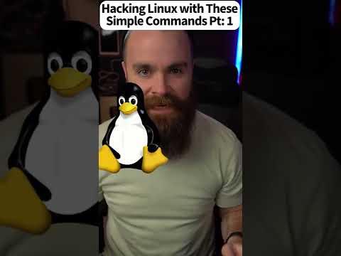 Hacking Linux with Simple Commands Part 1 🔐