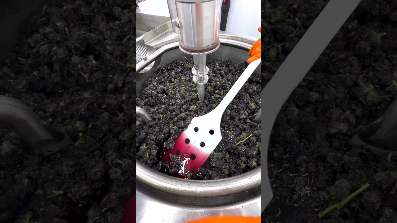 Bubble Hash Processing Water π #shorts