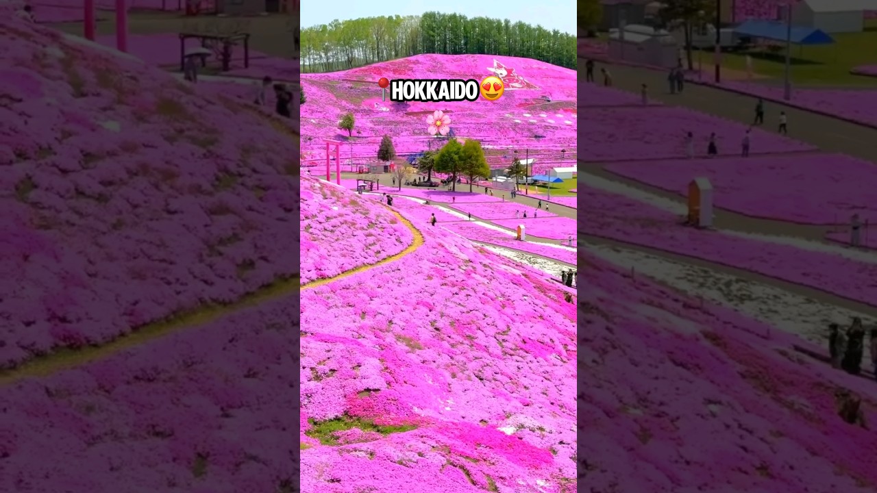 Japan's Most Beautiful Destinations πΈ