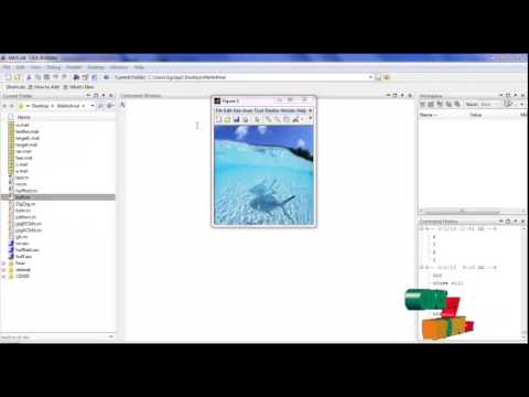 Final Year Projects | Detection of Steganography Inserted by OutGuess and Steghide by means