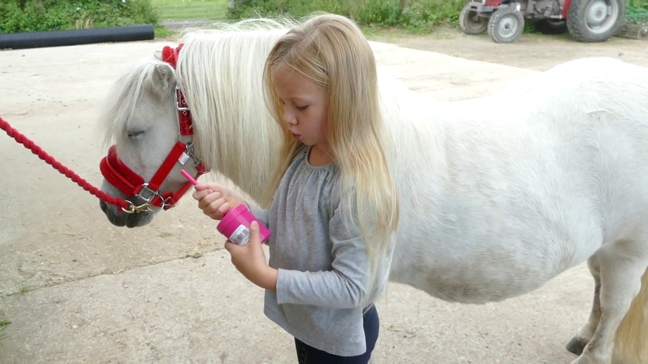 Grooming Your Shetland Pony | Harlow White π΄