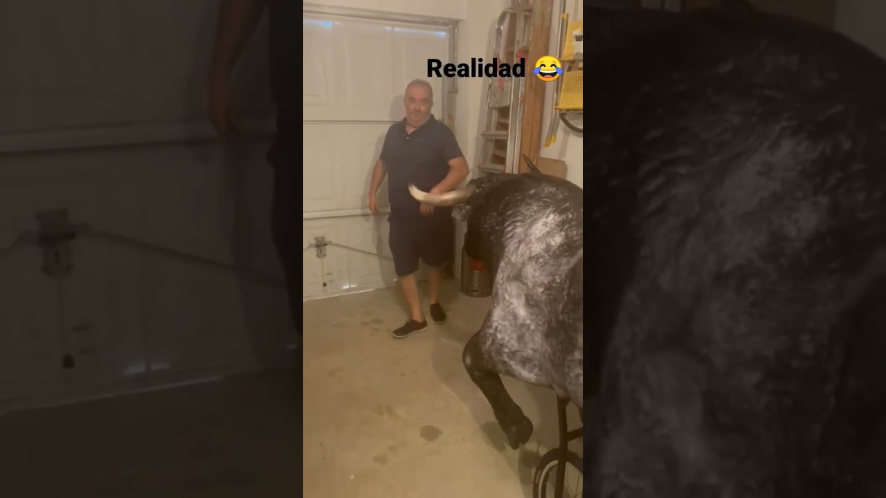 Expectations vs. Reality: Bullfighter Recortes 😂