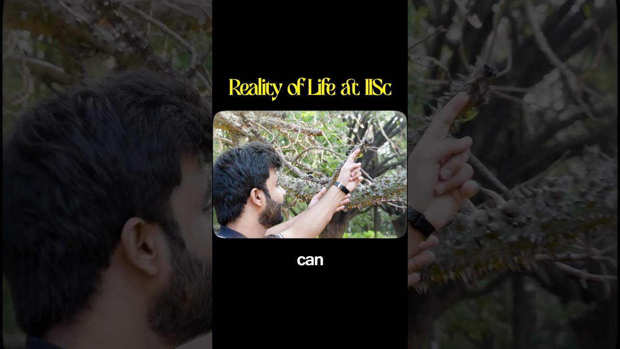 Life at IISc: What to Expect π