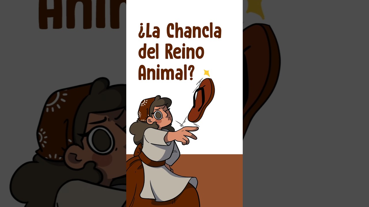 ¿La chancla del reino animal?