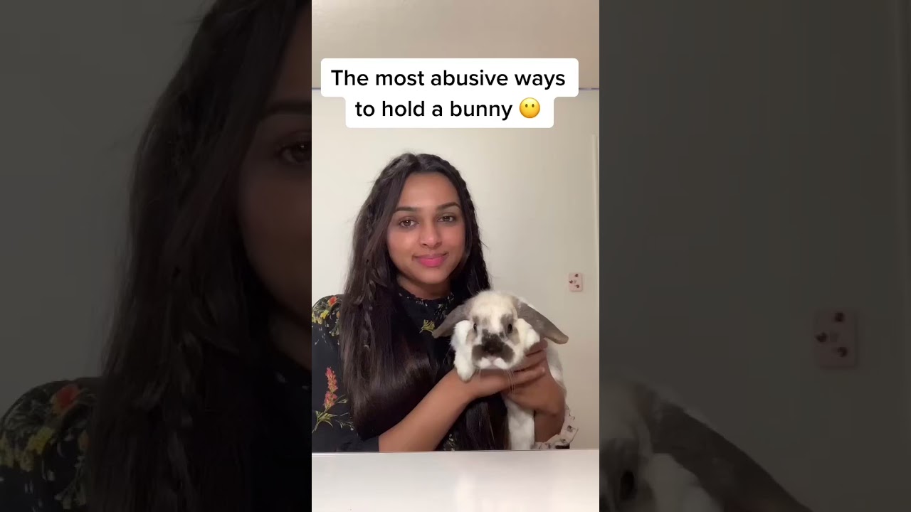 Common Abusive Ways to Handle Bunnies 🐇