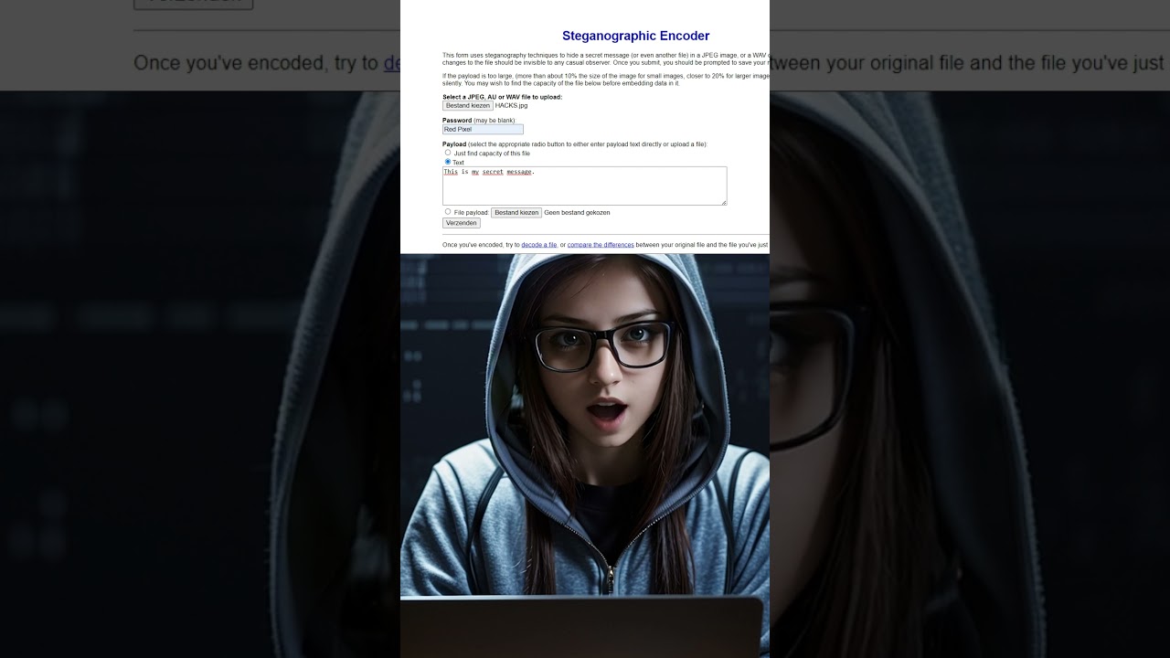 Master Steganography: How to Hide Messages with the Encoder 🕵️‍♂️