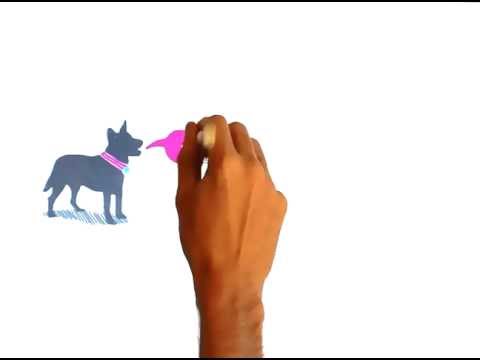 Virtual Leash in RSA Animate Style 🐶