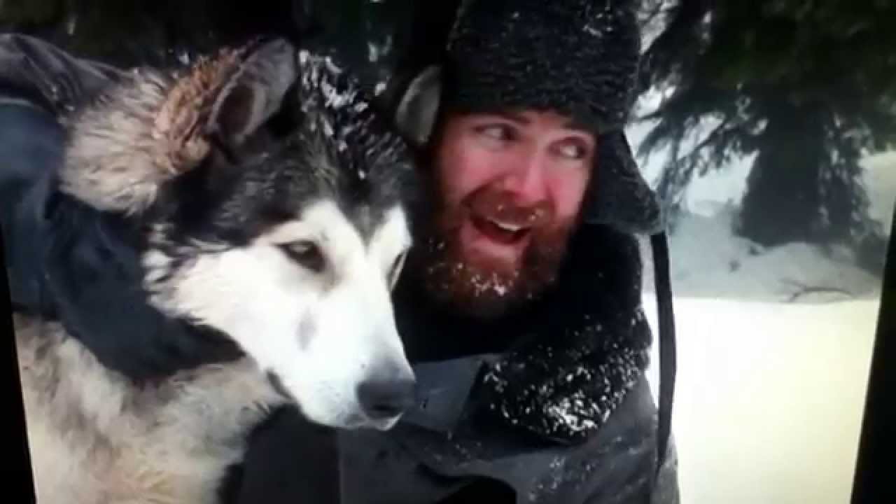 Call of the Wild: Spitz vs Buck Fight 🐺