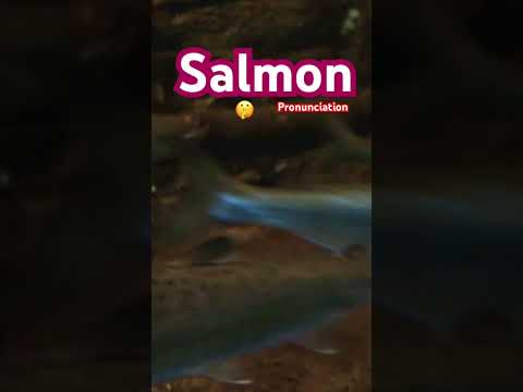 🐟 Salmon Pronunciation 🐟 Salmon with Silent L 🐟 What is a Salmon? How to Pronounce Salmon #salmon