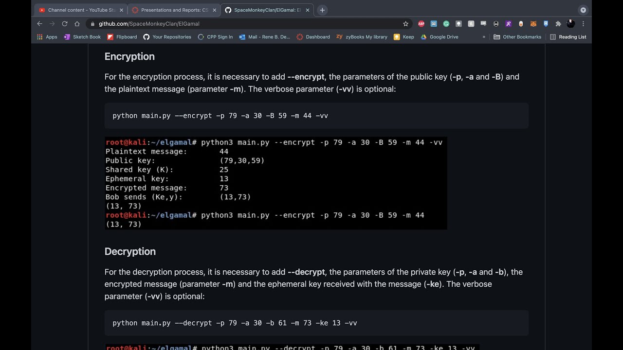 Mastering ElGamal Cryptosystem & Its Variants 🔐