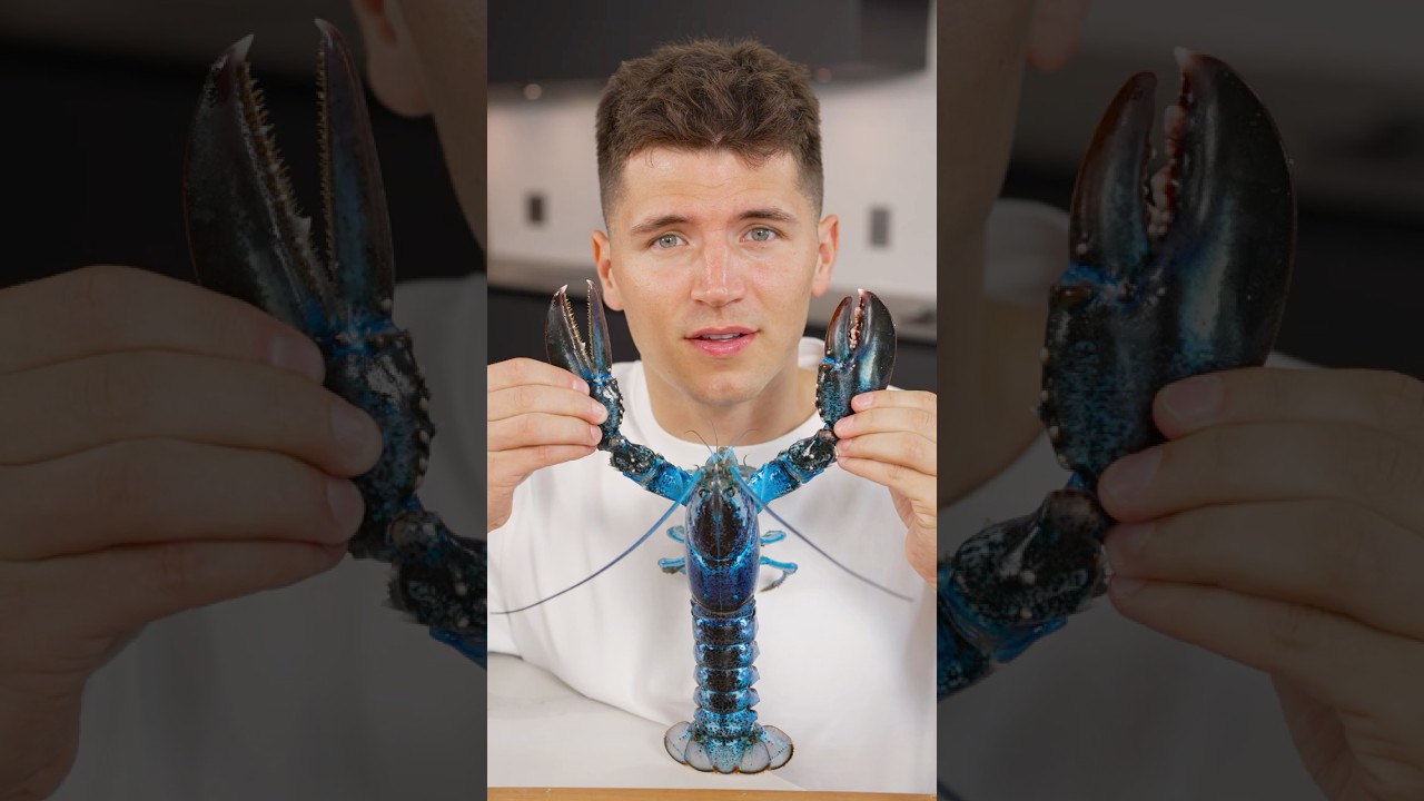 How to Cook Blue Lobster 🦞