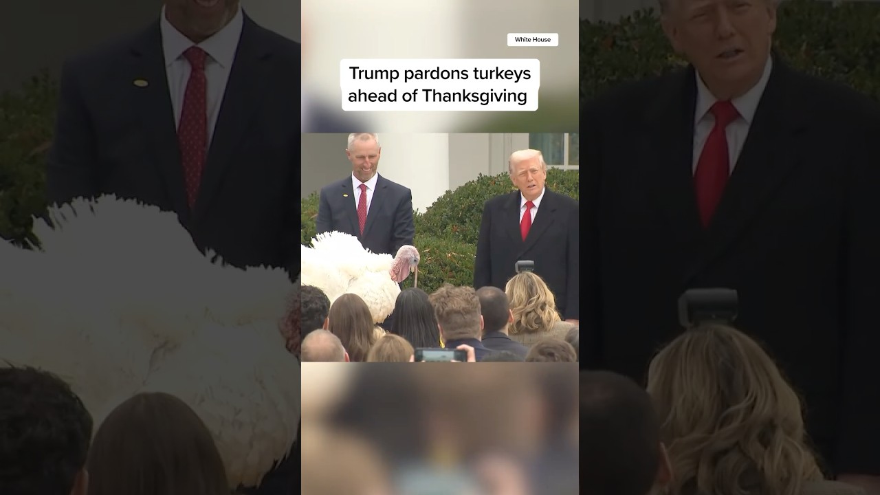 Trump Pardons Turkeys Before Thanksgiving π¦