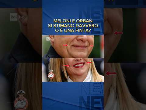 Meloni e Orban si stimano per davvero? Analisi del linguaggio del corpo
