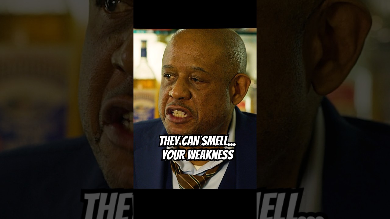 They Can Smell Your Weakness... Watch Out! 🔥