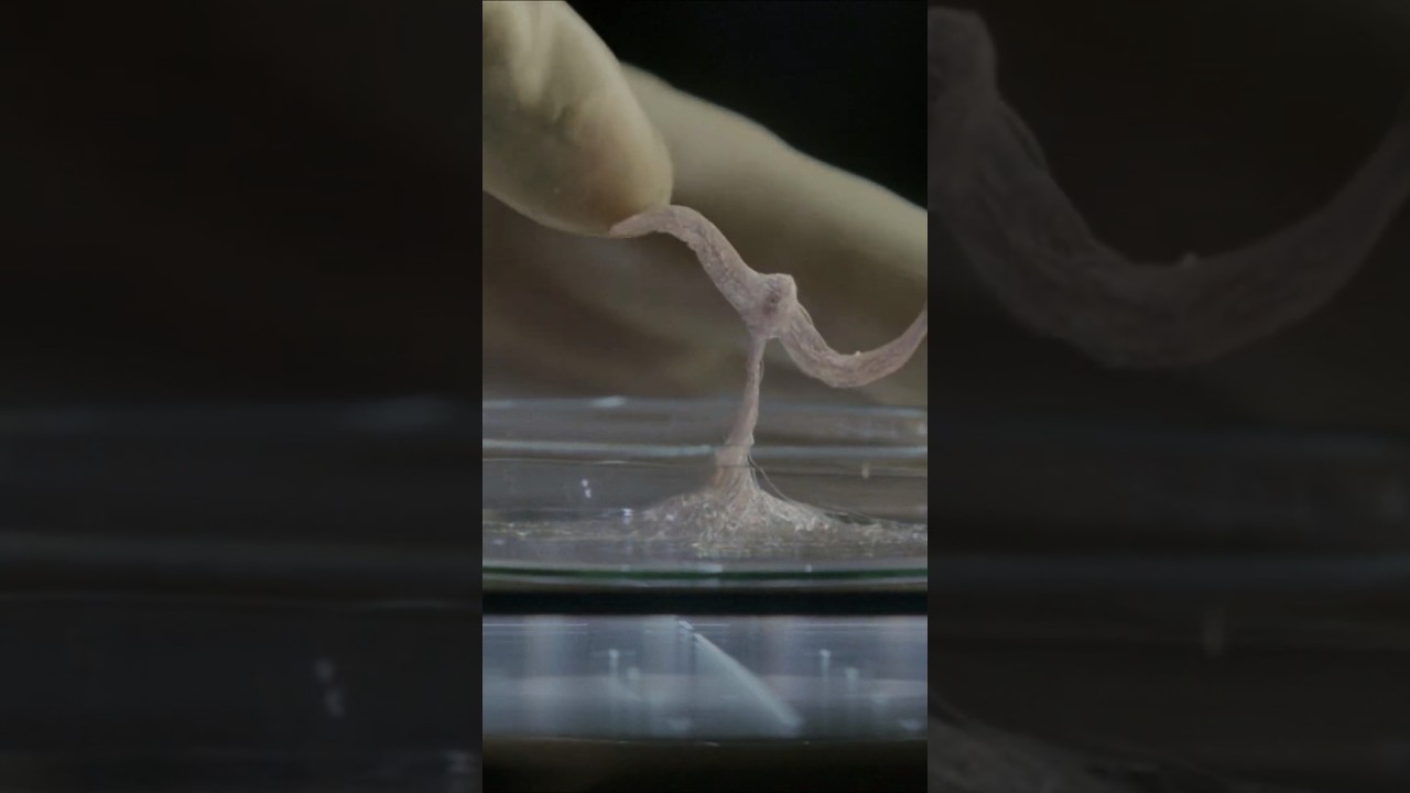 Life (2017): Astronauts Face Alien Threat 🚀