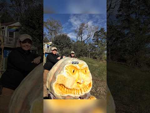 Rare Photos You've Never Seen Before [Part 404]