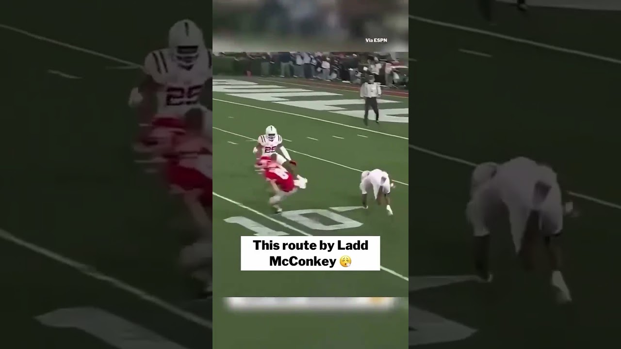Ladd McConkey: Georgia Playmaker 😤