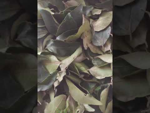 Kadi patta (Curry leaves) or meetha neem ko Sanskrit me kya kahte hain ?