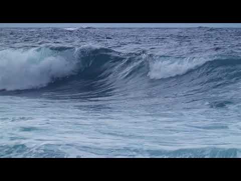 calm and peace feelgood music feel the music relaxing meditation happy feel