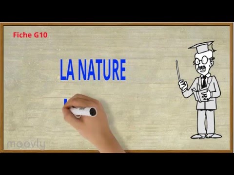 G10 - La nature des mots 📚