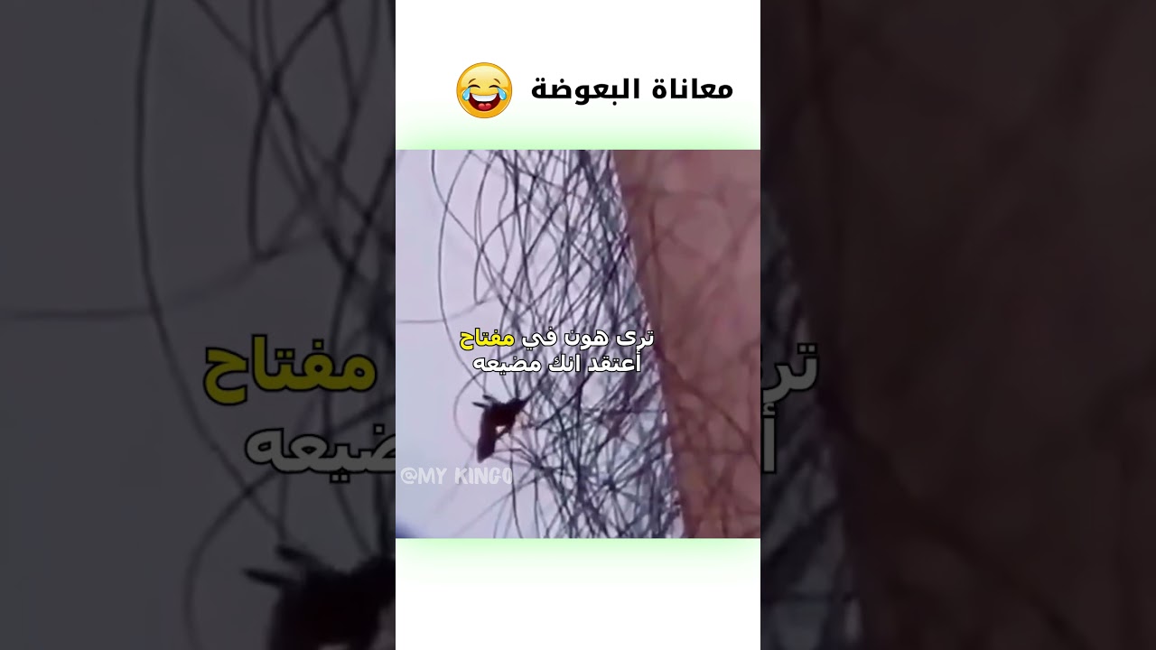 مقلب مضحك مع بعوضة مدبلجة كوميدي 😂 | أفضل فيديو كوميدي سعودي