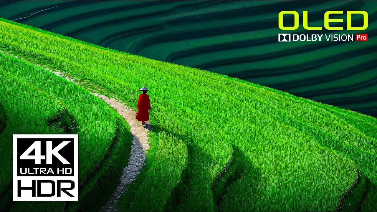 Stunning HDR Video in 4K 60FPS Dolby Vision ✨