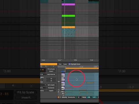 Ableton Live 12 - How to use the Global Key Amount?