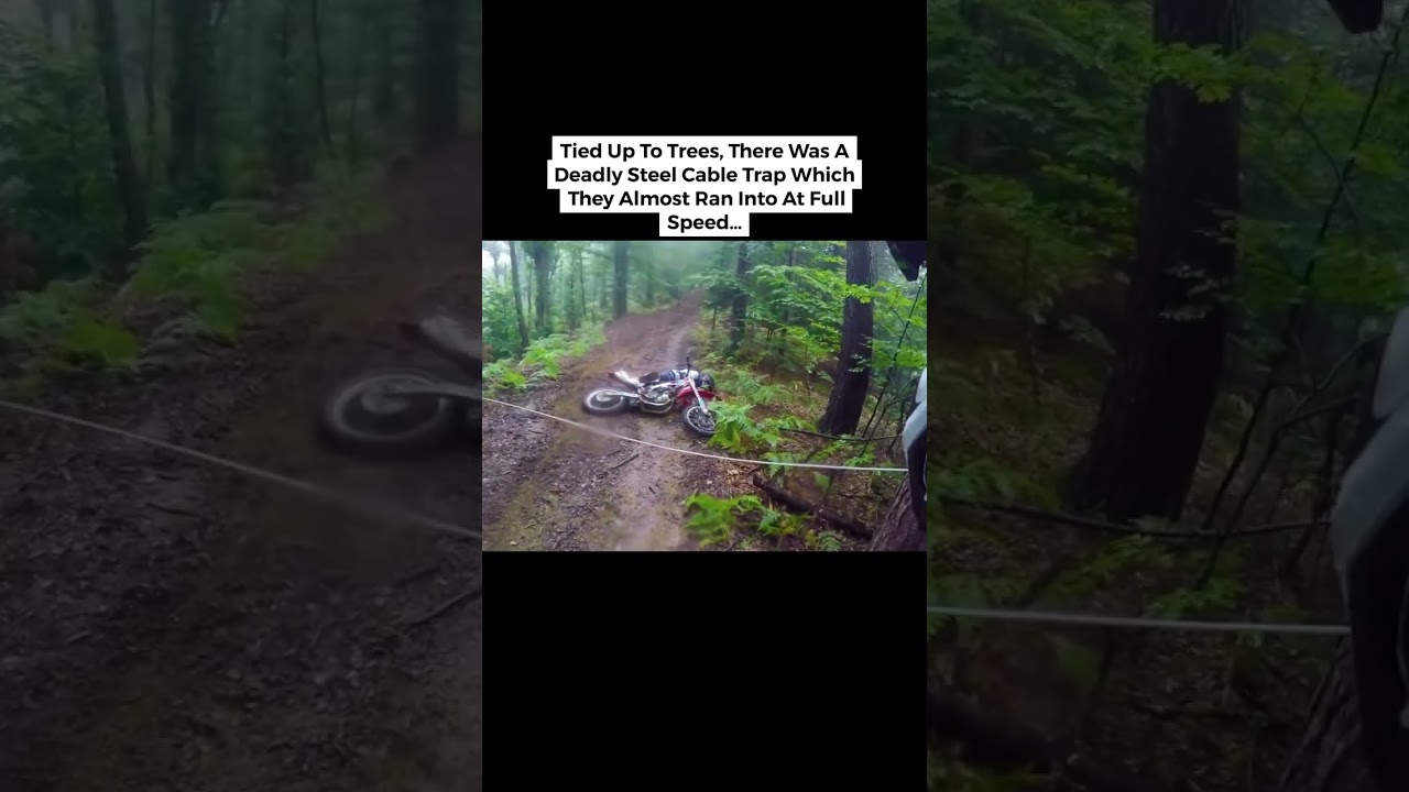 Unsettling Discoveries Deep in the Woods