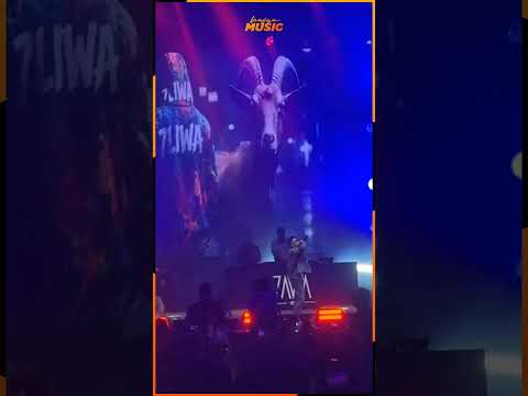 MIMII 🔥🔥 7liwa. #laafyamusic #7liwa #rabat #moroccanrap #morocco