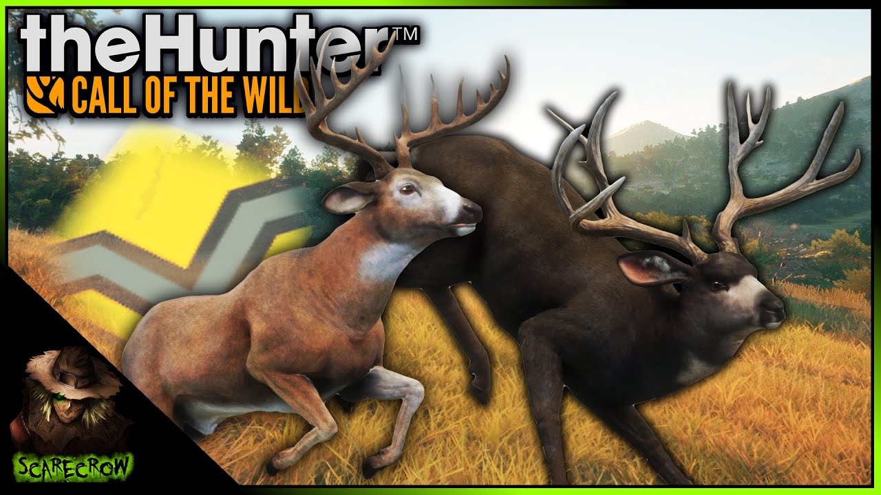 Diamond Mule & Whitetail Deer On Rancho Del Arroyo Multiplayer! Call of the wild