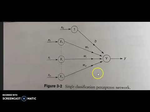 Perceptron network