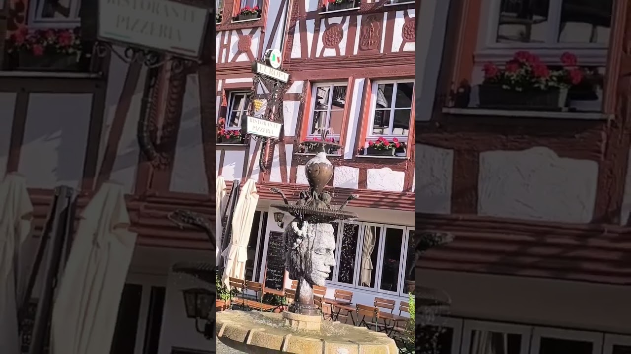 Моменты красоты и жизни 🌅