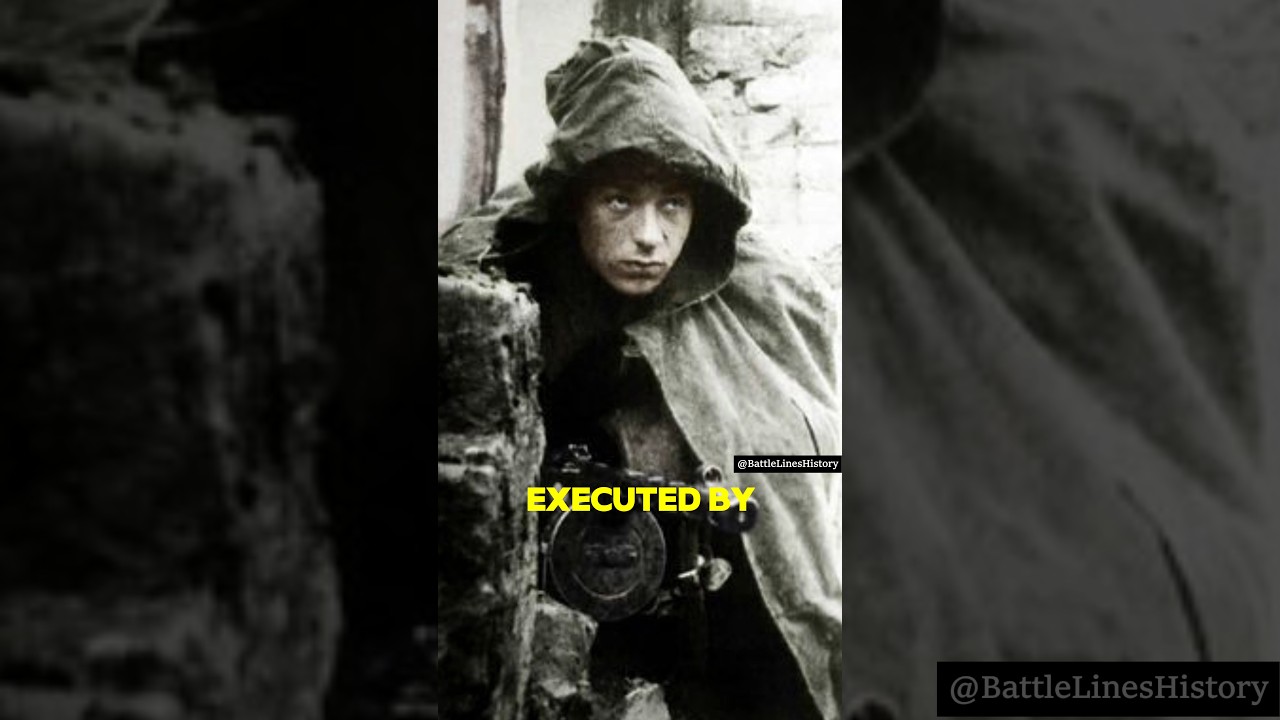 Battle of Stalingrad: The Soviet Perspective #ww2