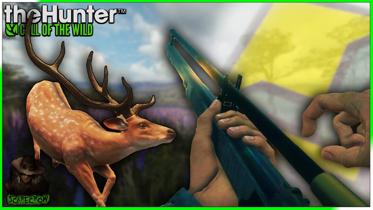 WE GOT A NEW DIAMOND RACK! Hunting TruRACS Axis Deer With The Muzzleloader! Call of the wild