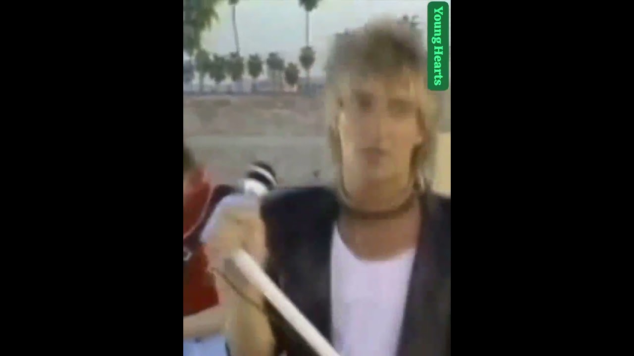 Rod Stewart's 'Young Hearts Be Free' (1981) 🎶