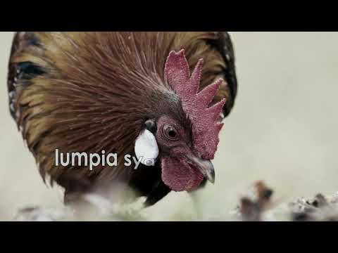 "80'" - Juan Paasa (lyric video)