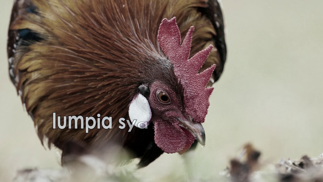 Juan Paasa - '80' 🎶 Lyric Video | Bisrock & OPM Hit